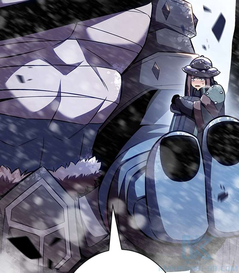 P208