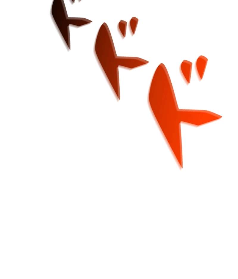 P91