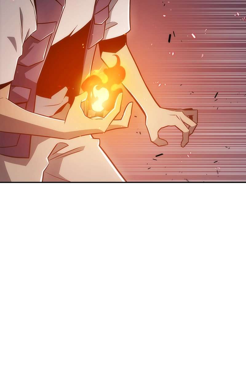 P66