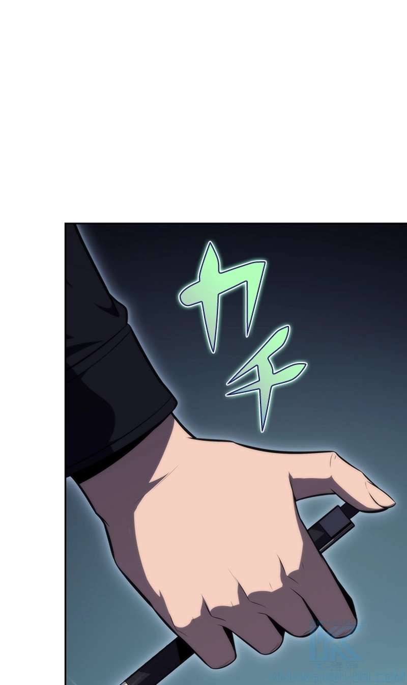 P113
