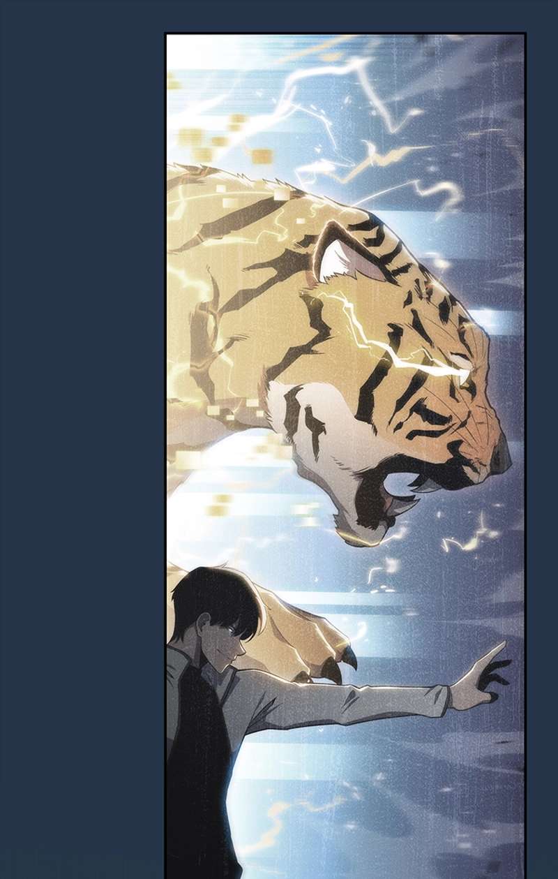 P66