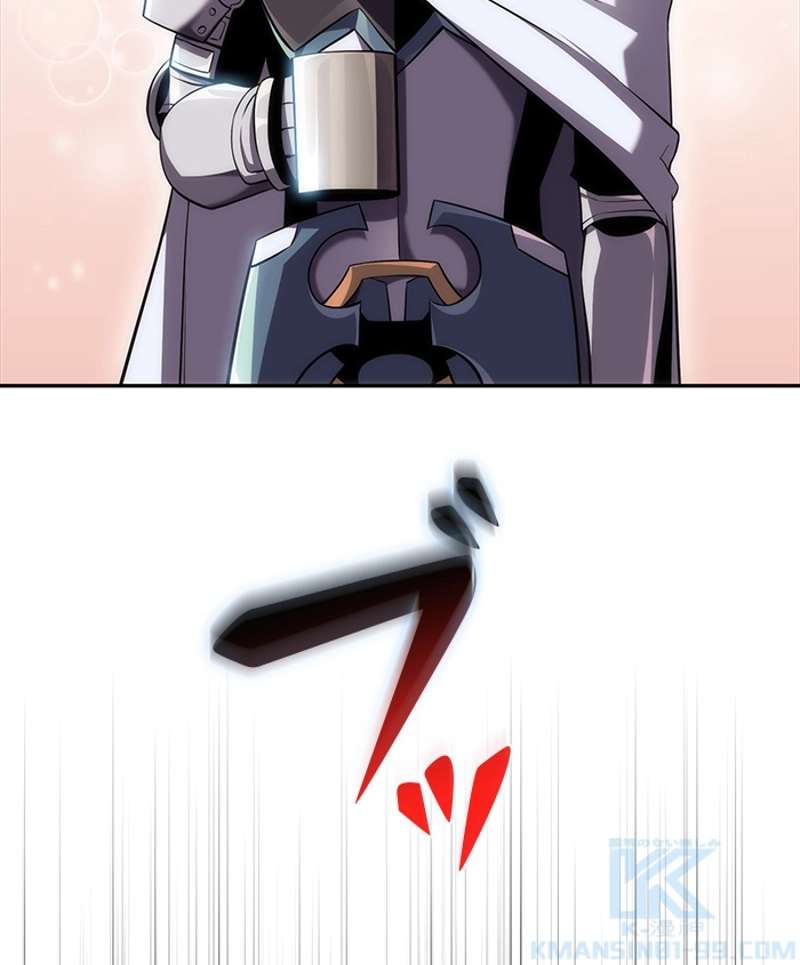 P113