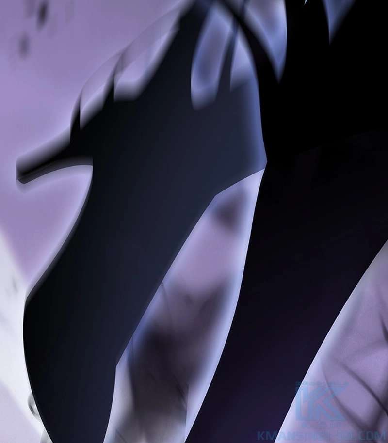 P163