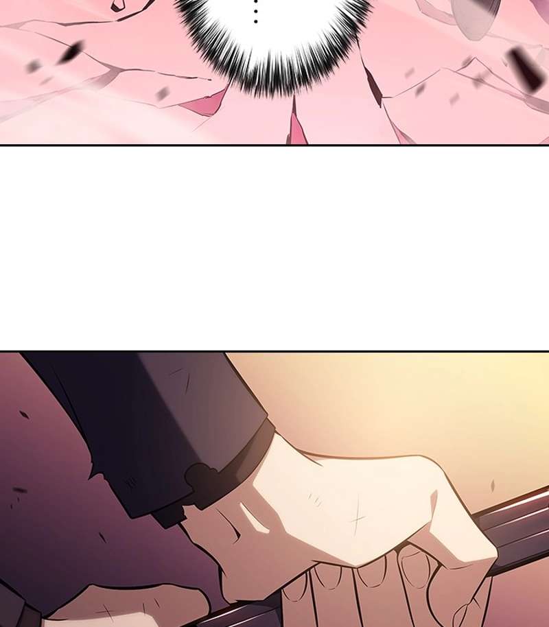 P113