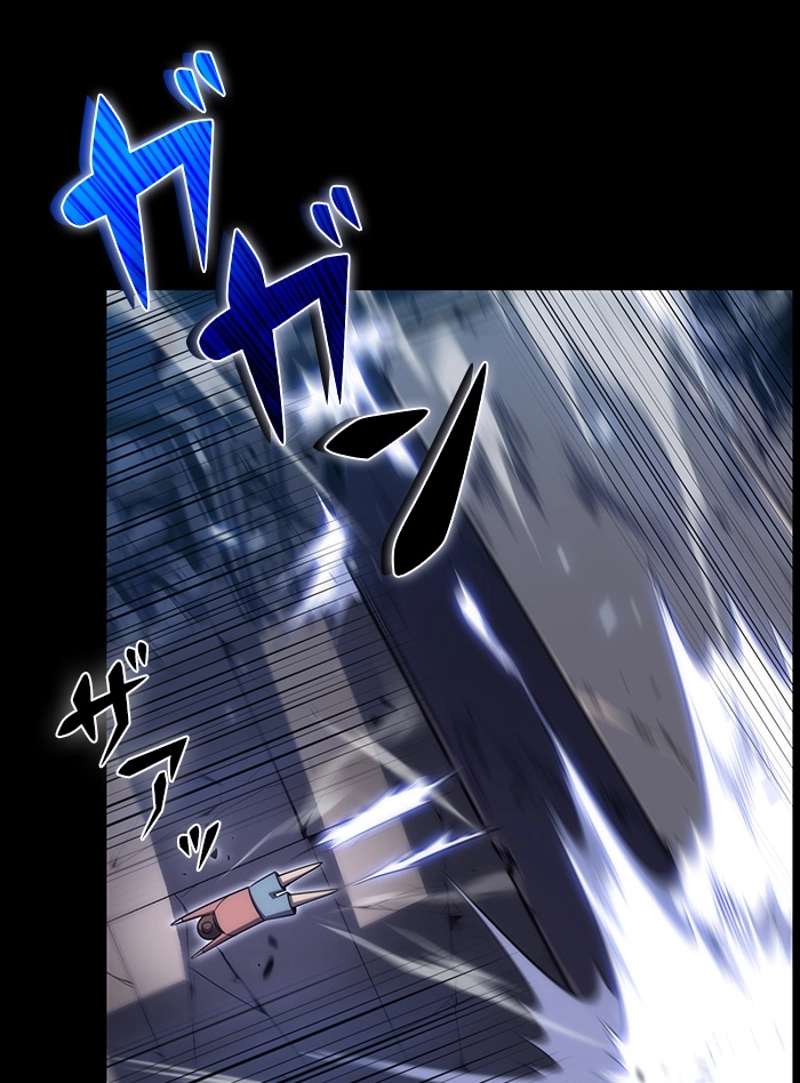 P113