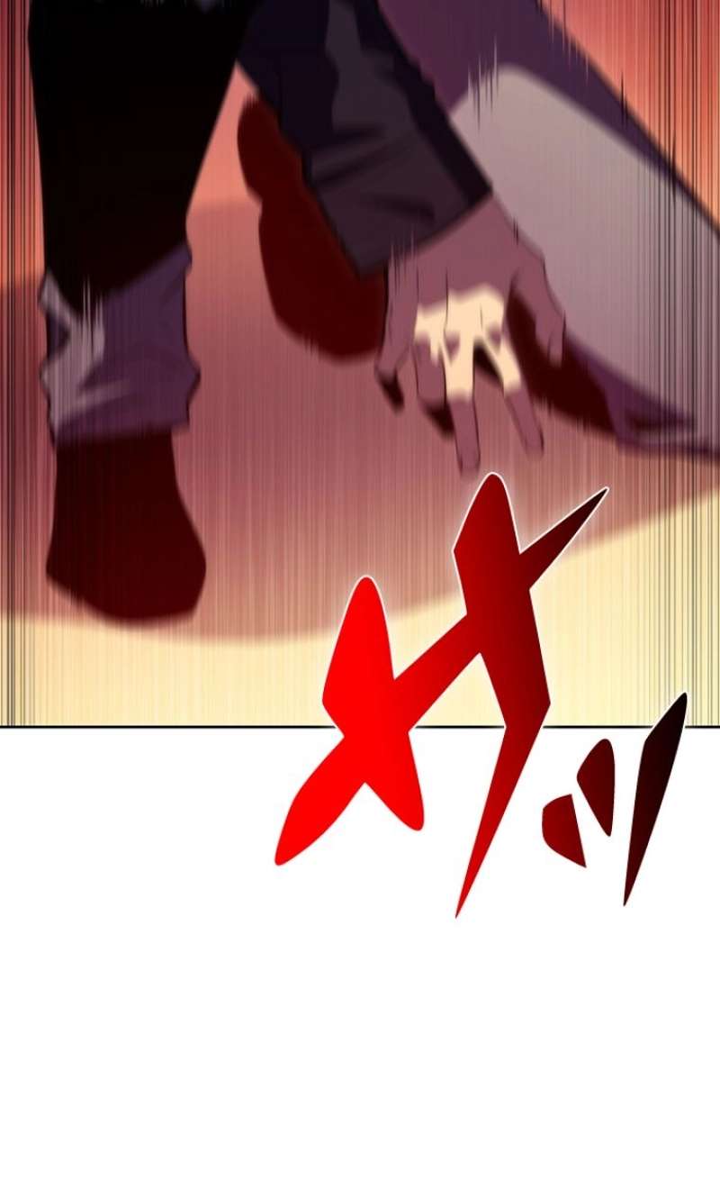 P113