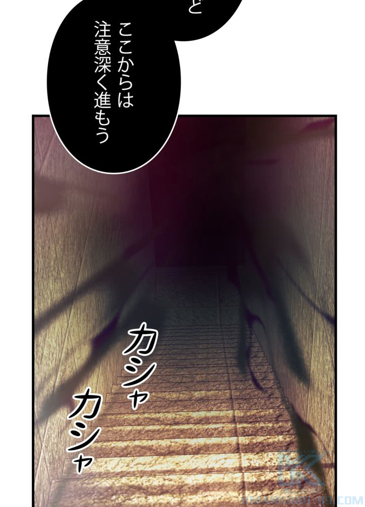 P61
