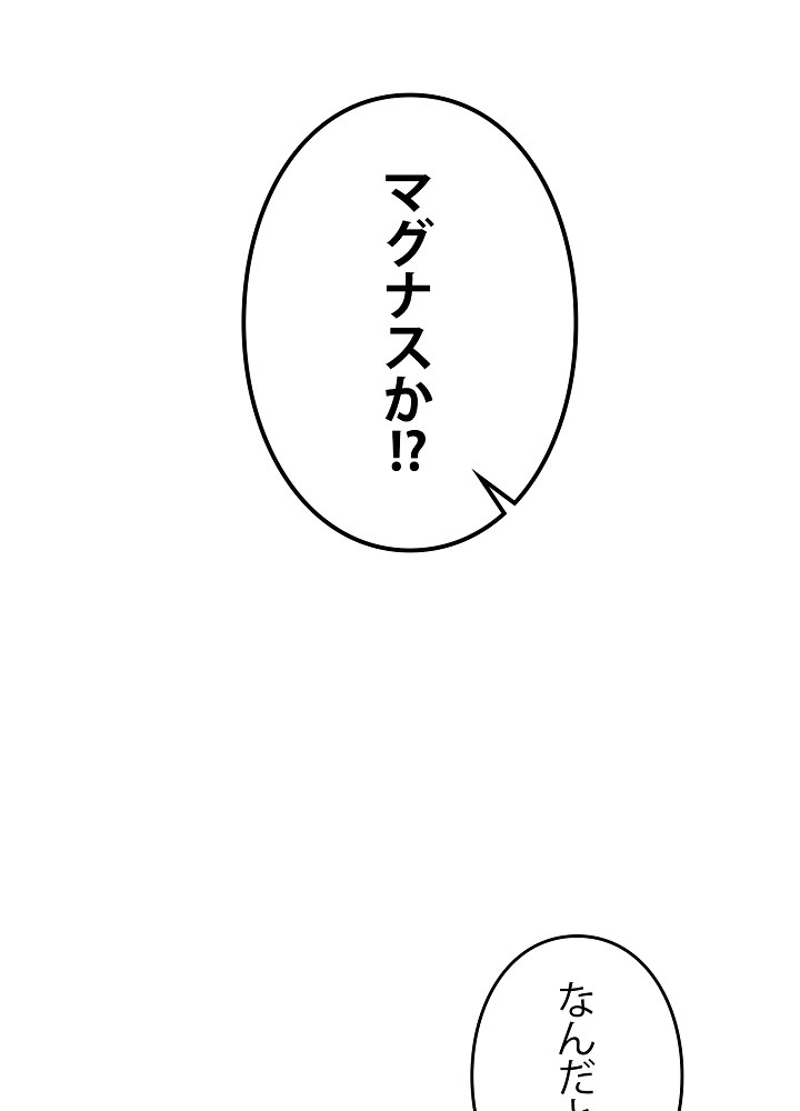 P66