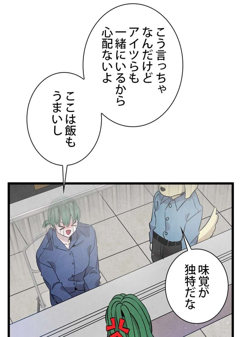 P63