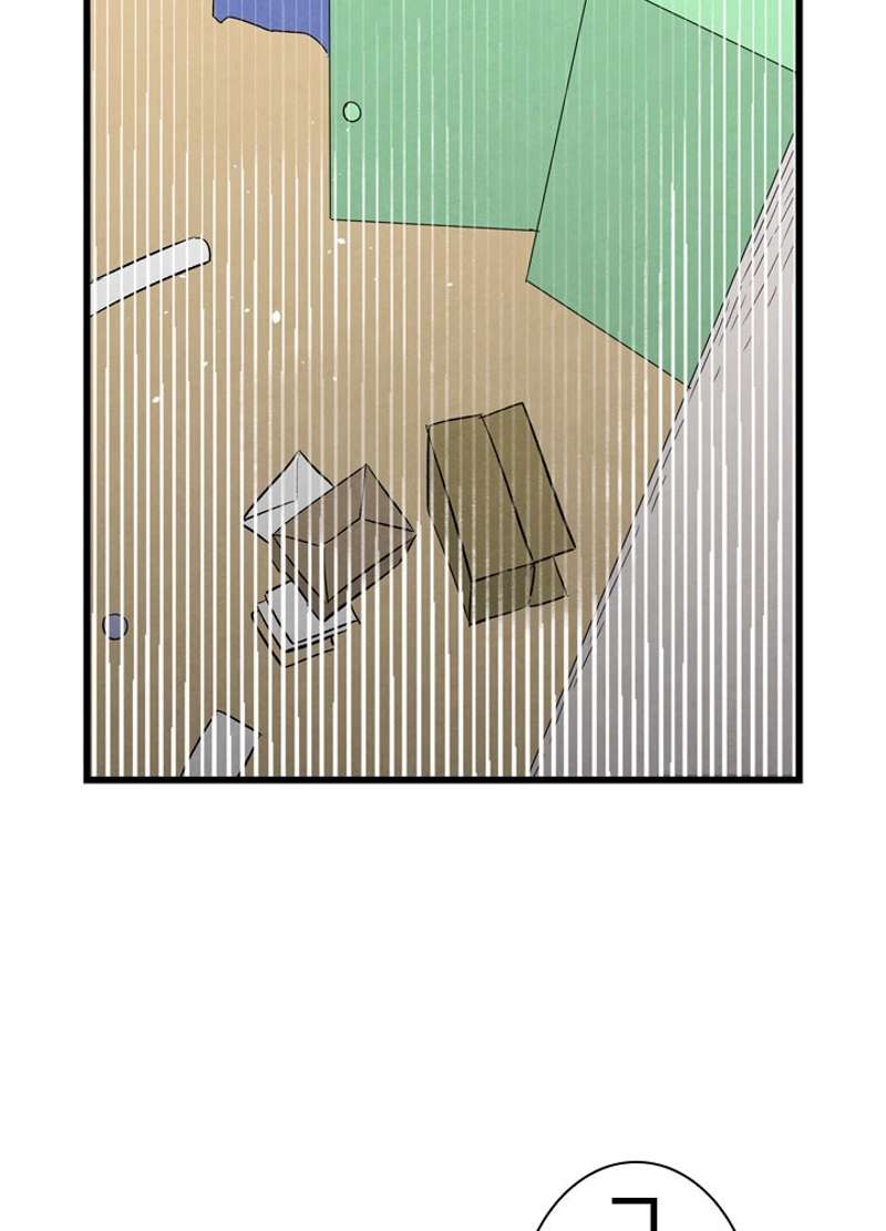 P63