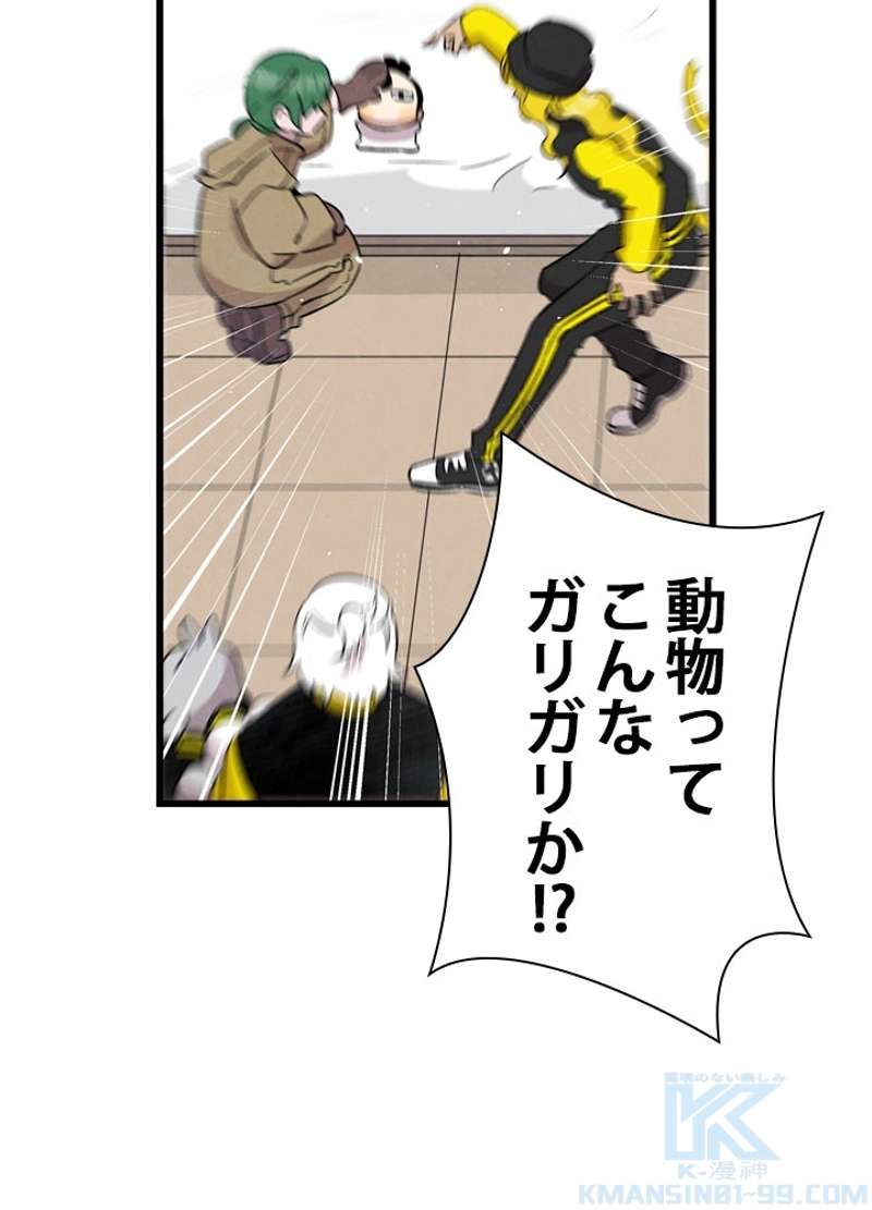 P68