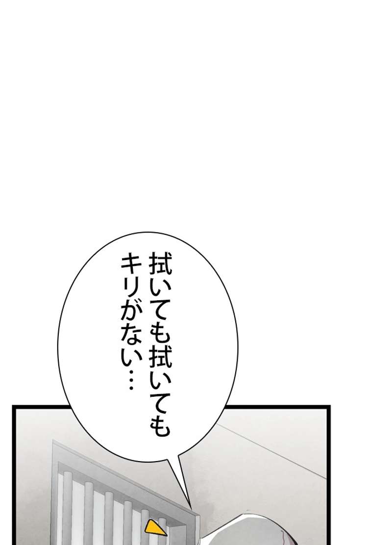P46