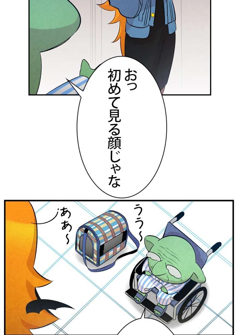P51