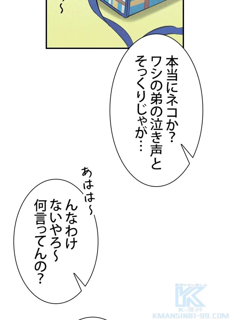 P53