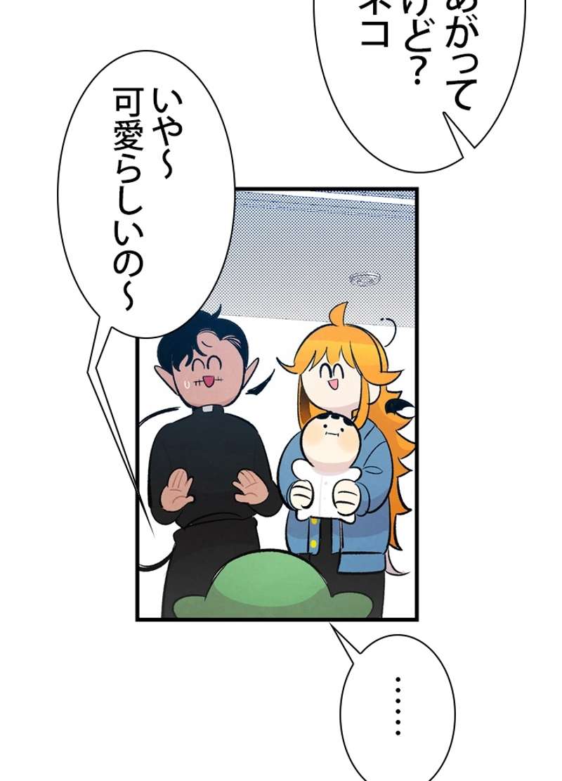 P63