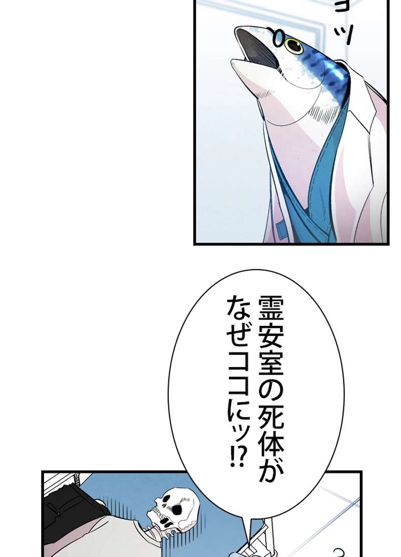 P66