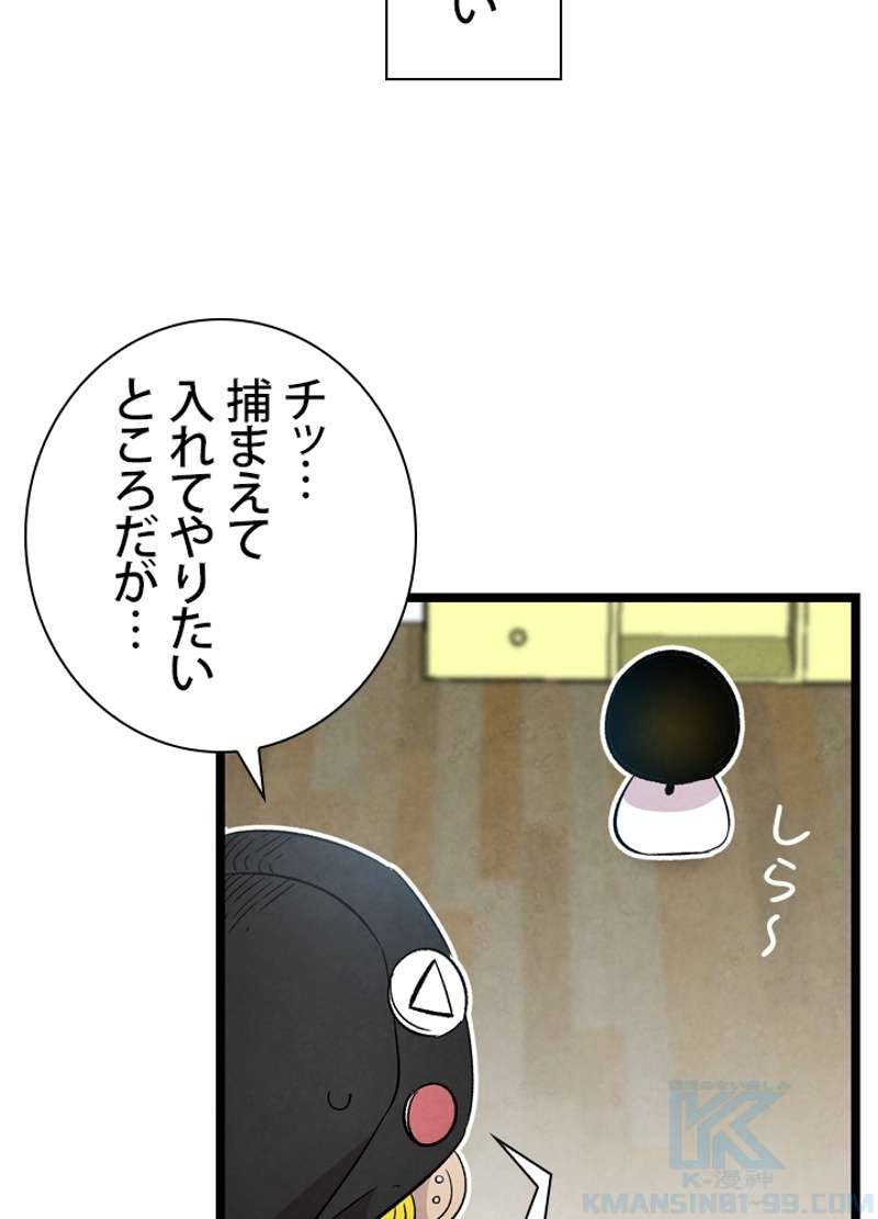 P41