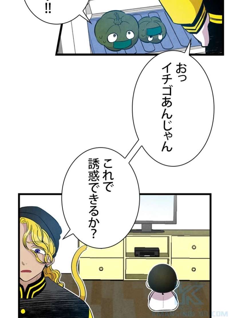 P44