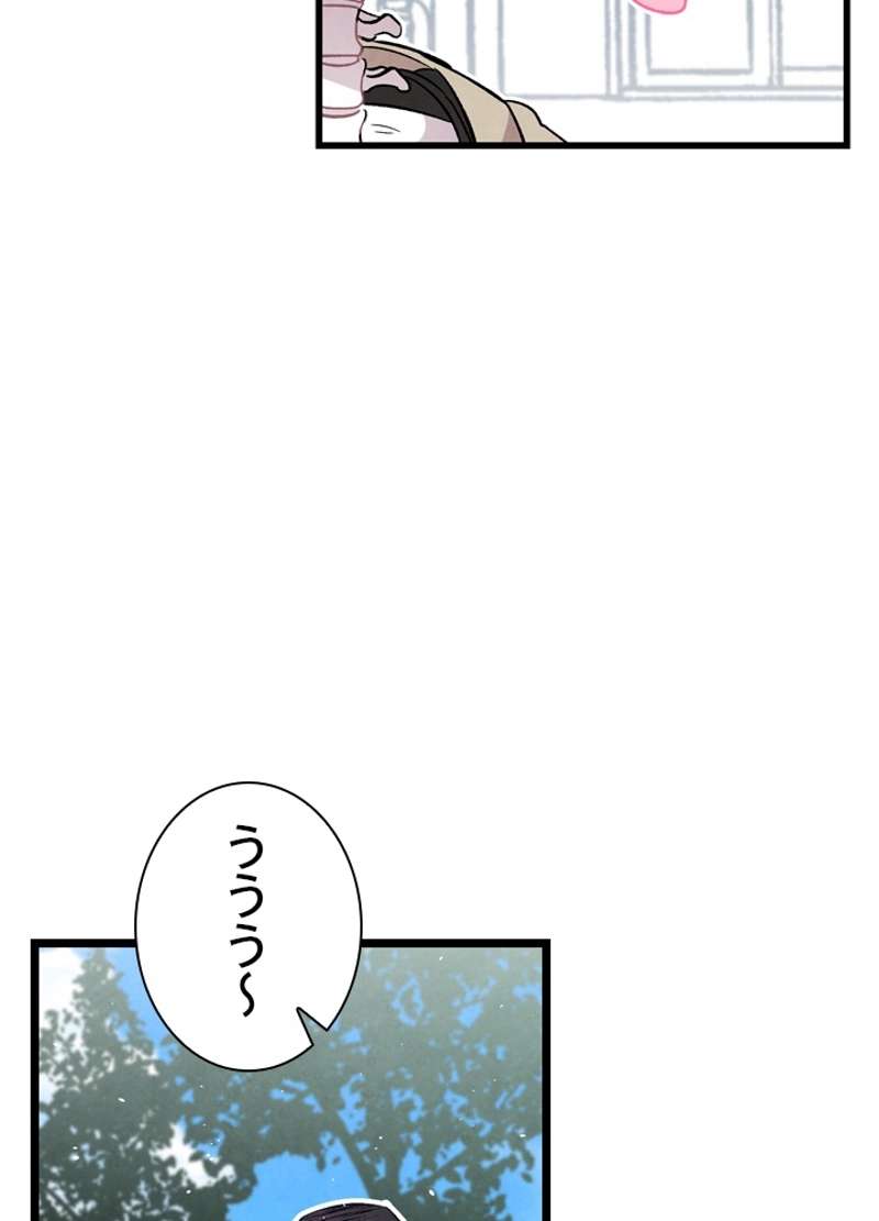 P54