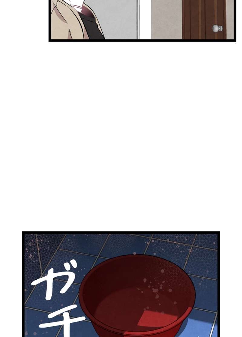 P66