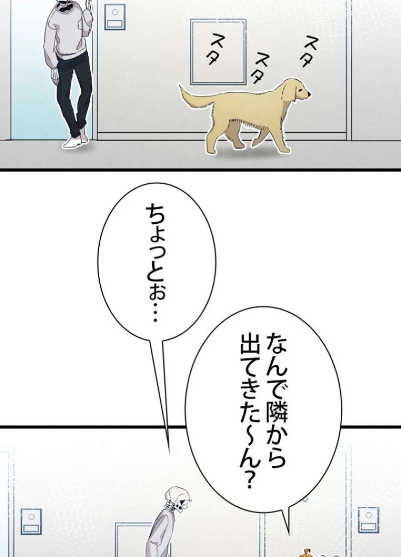 P42