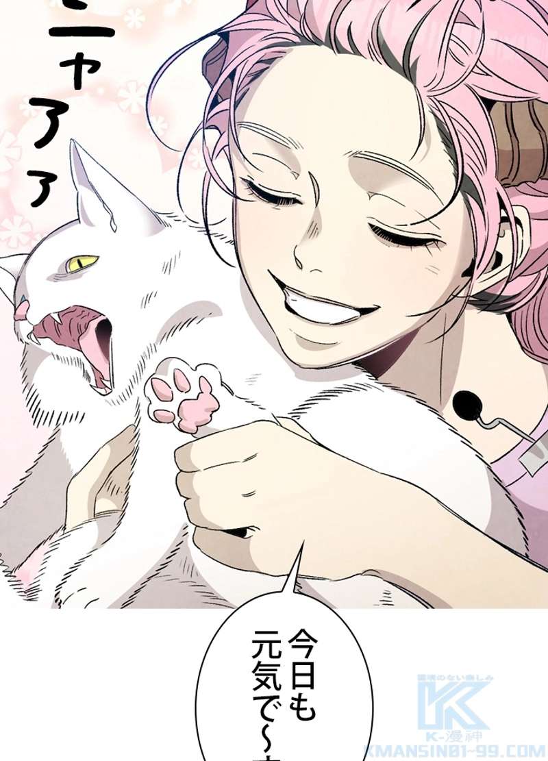 P53