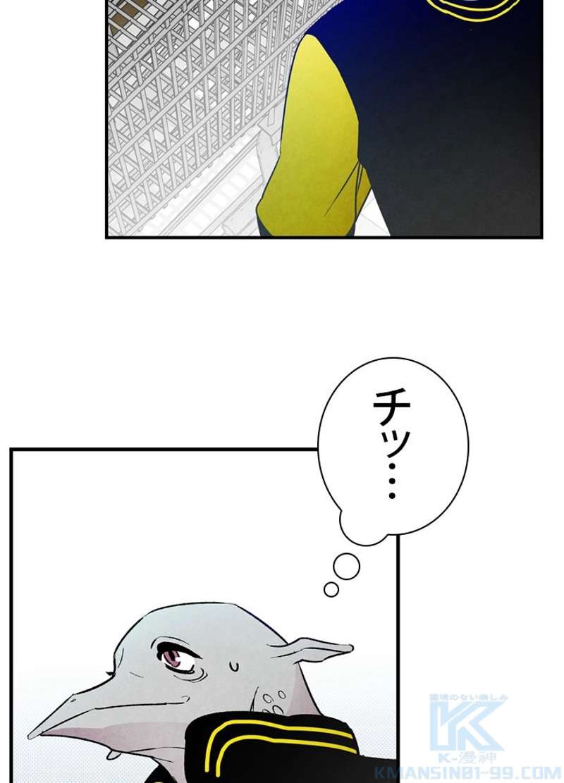 P41