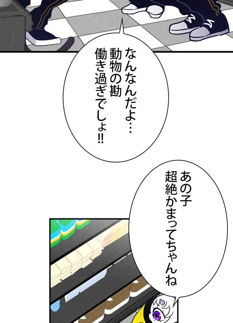 P51