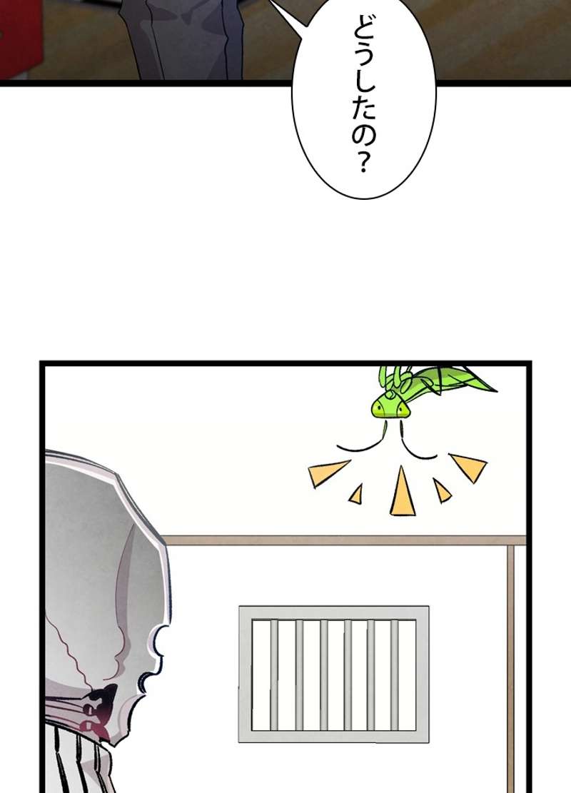 P48