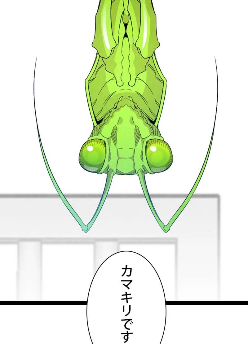 P58