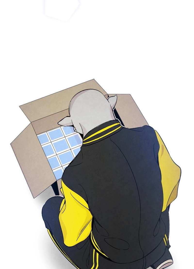 P24