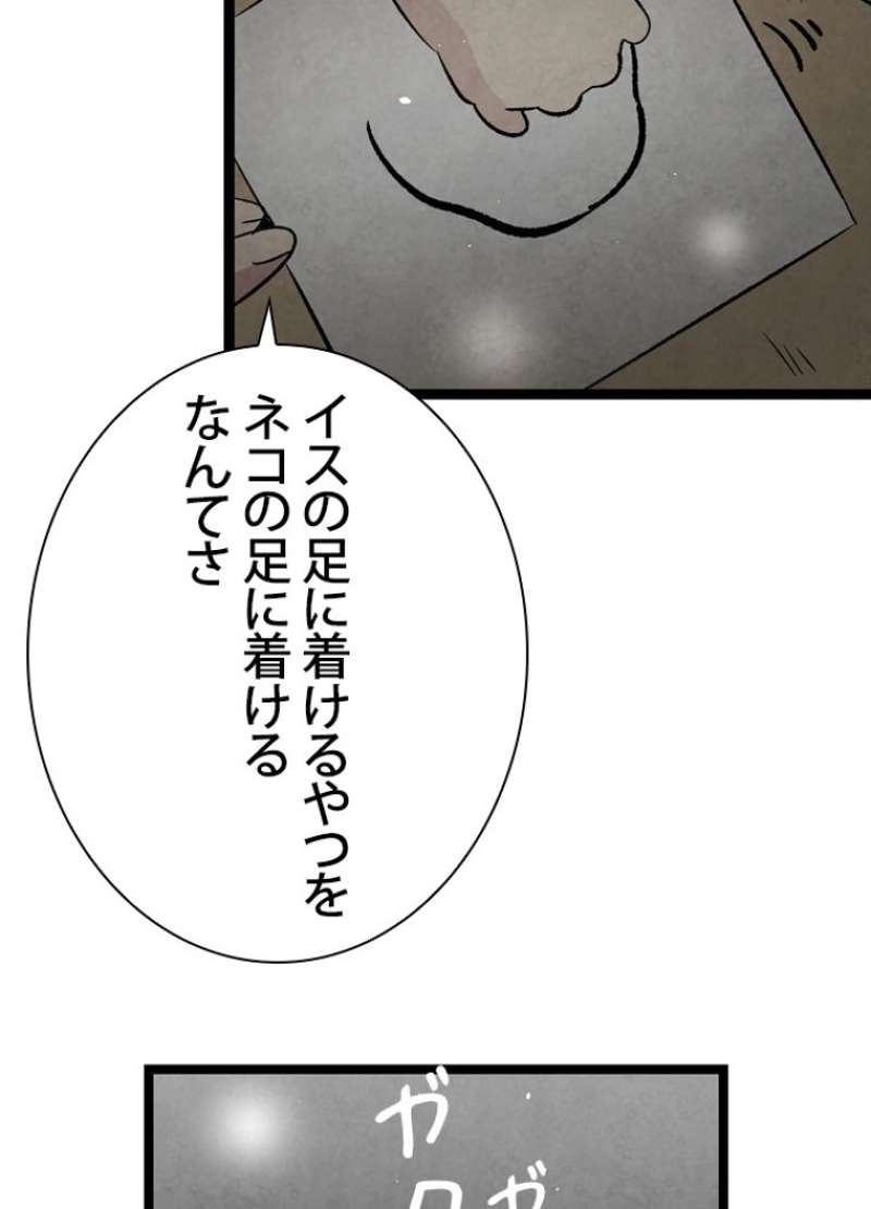 P55