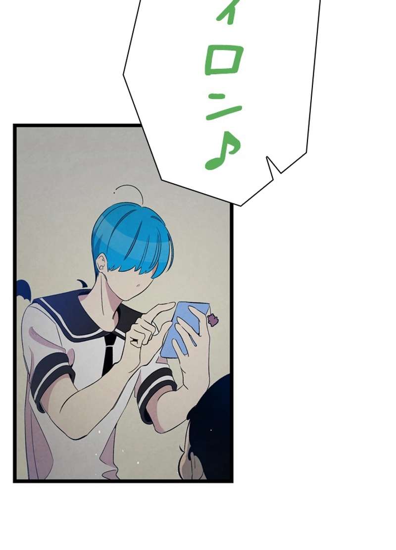 P61