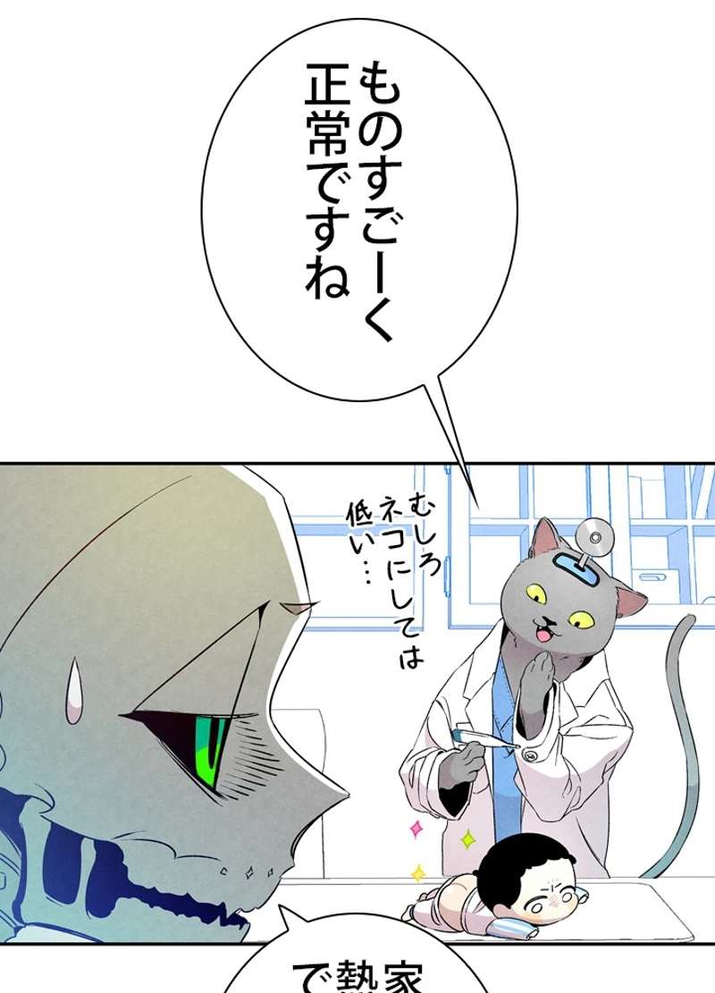 P31