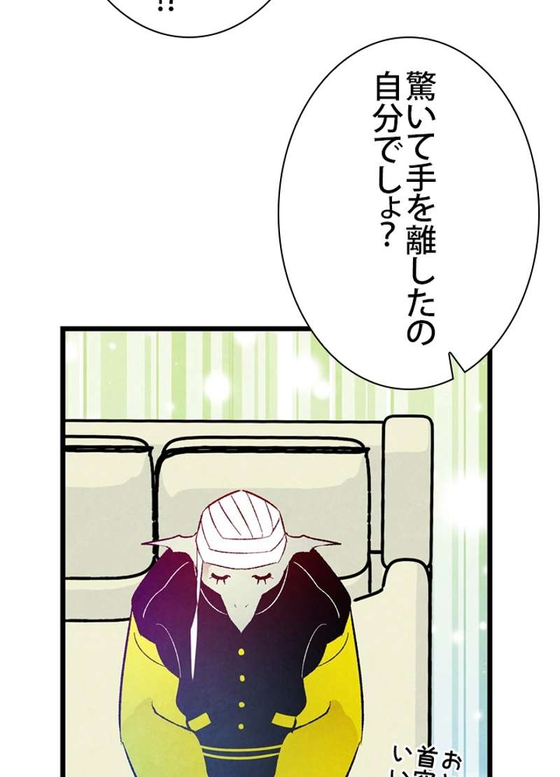 P61
