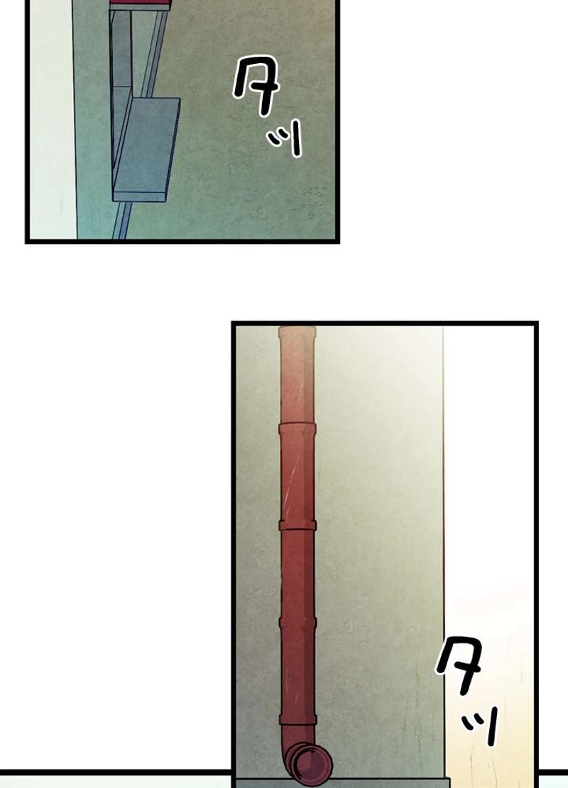 P78