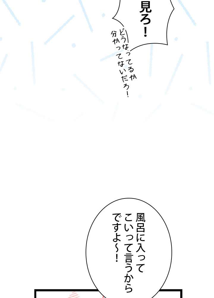 P66