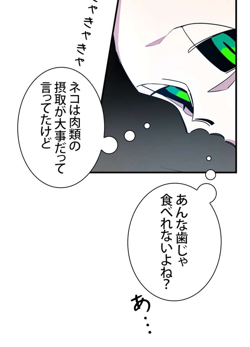 P48