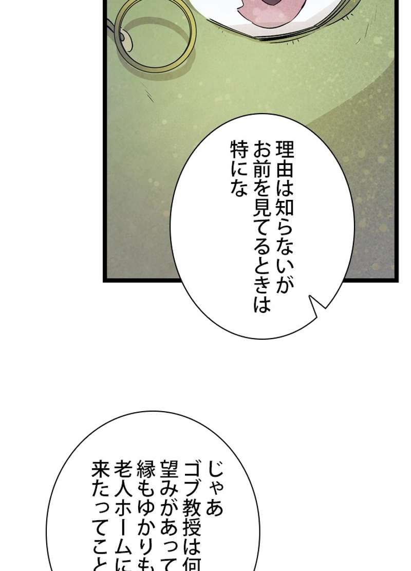 P61