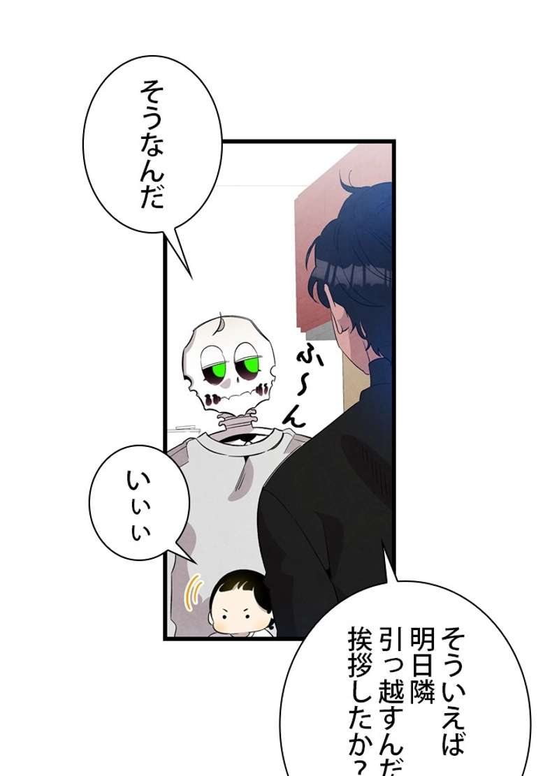 P66
