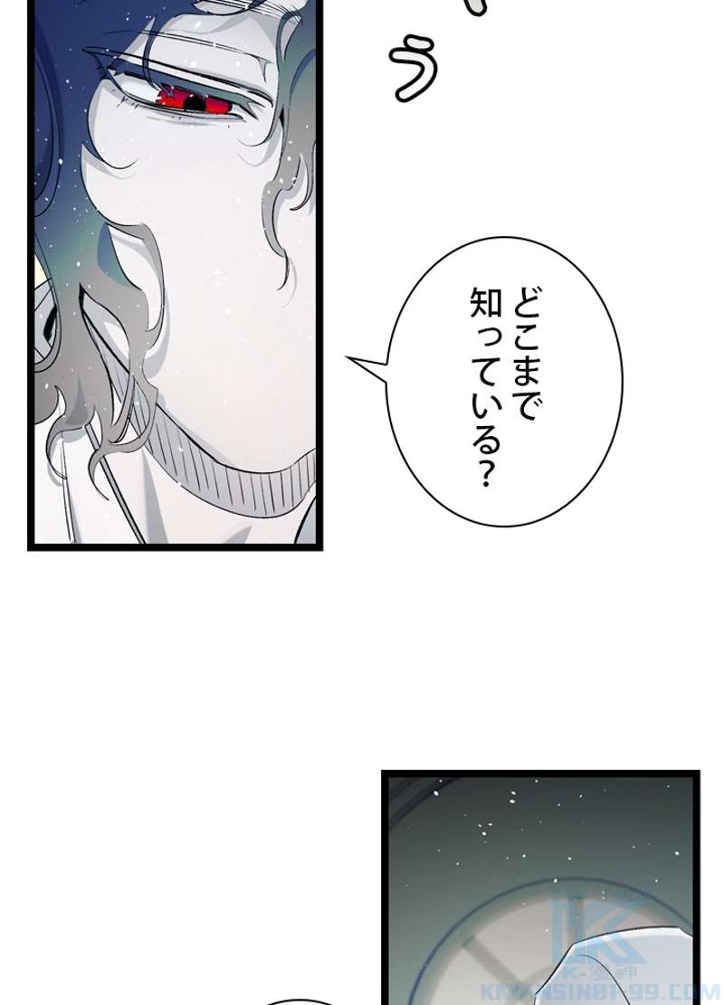 P41