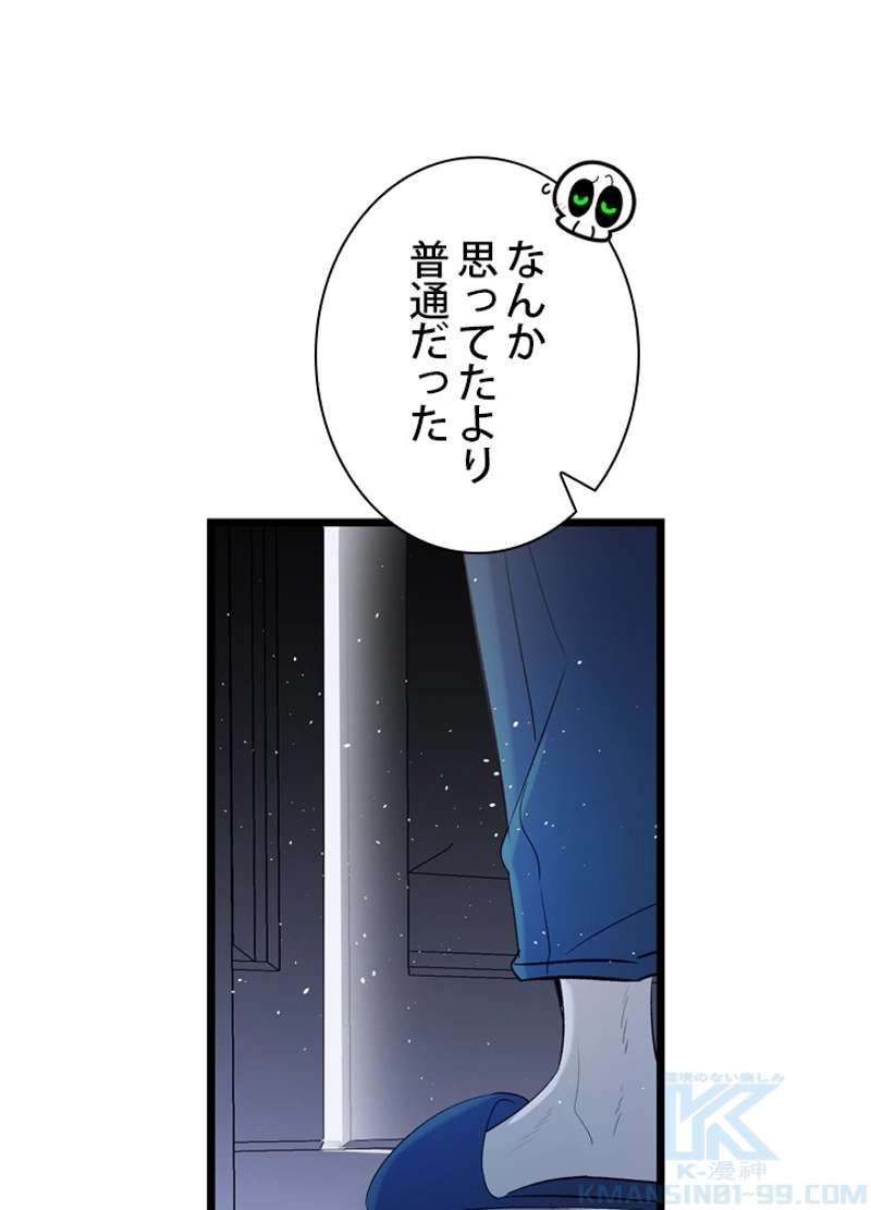 P53