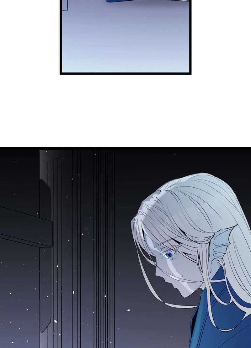 P54