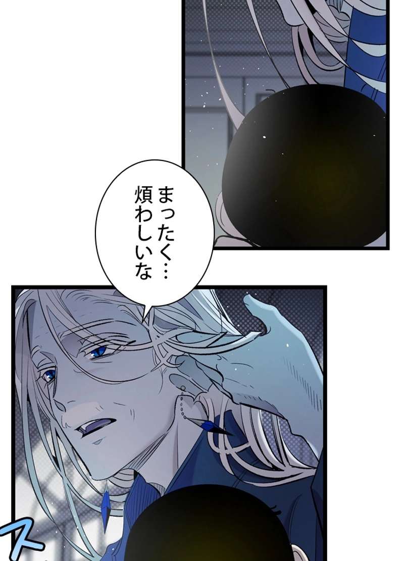 P63