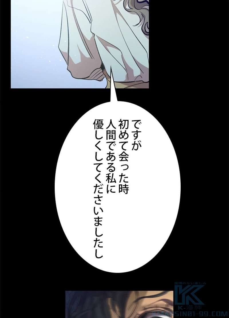 P58