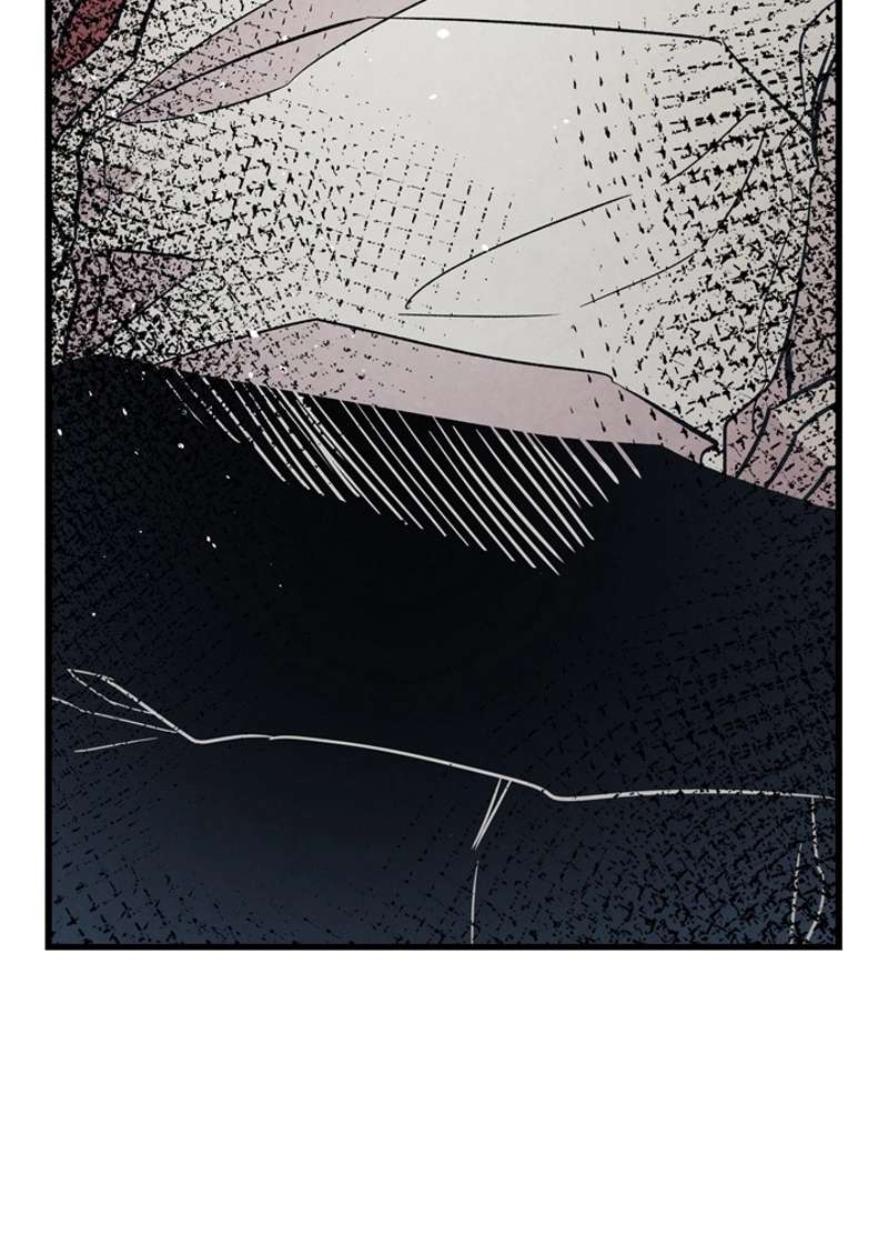 P78