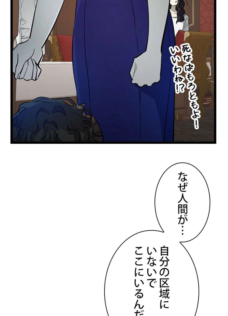 P61