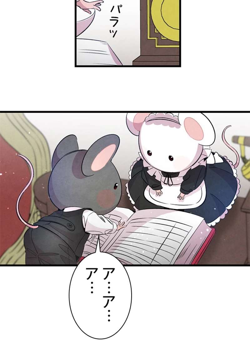 P66