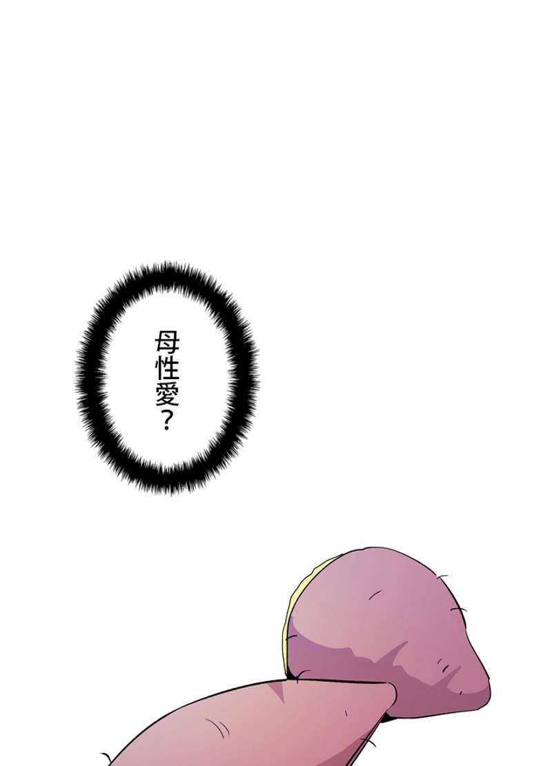P63