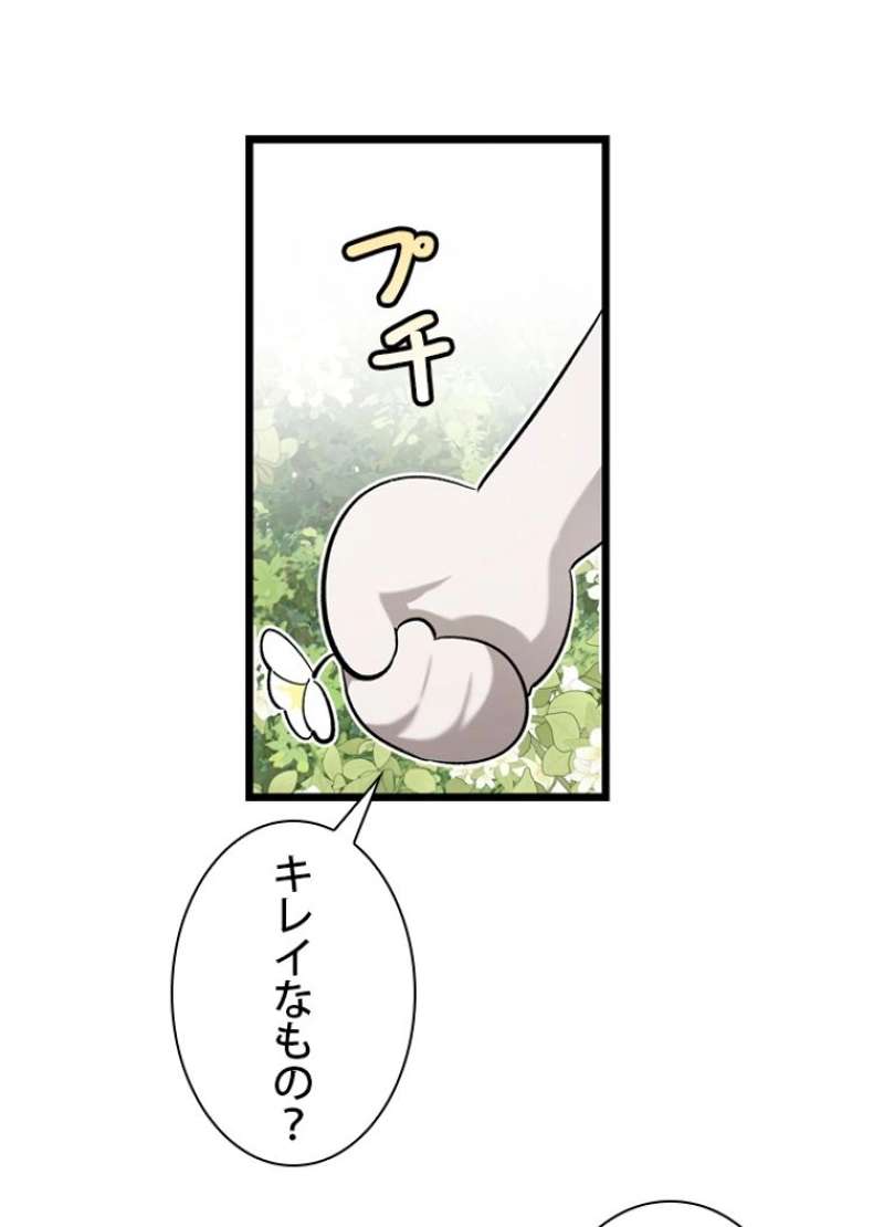 P78